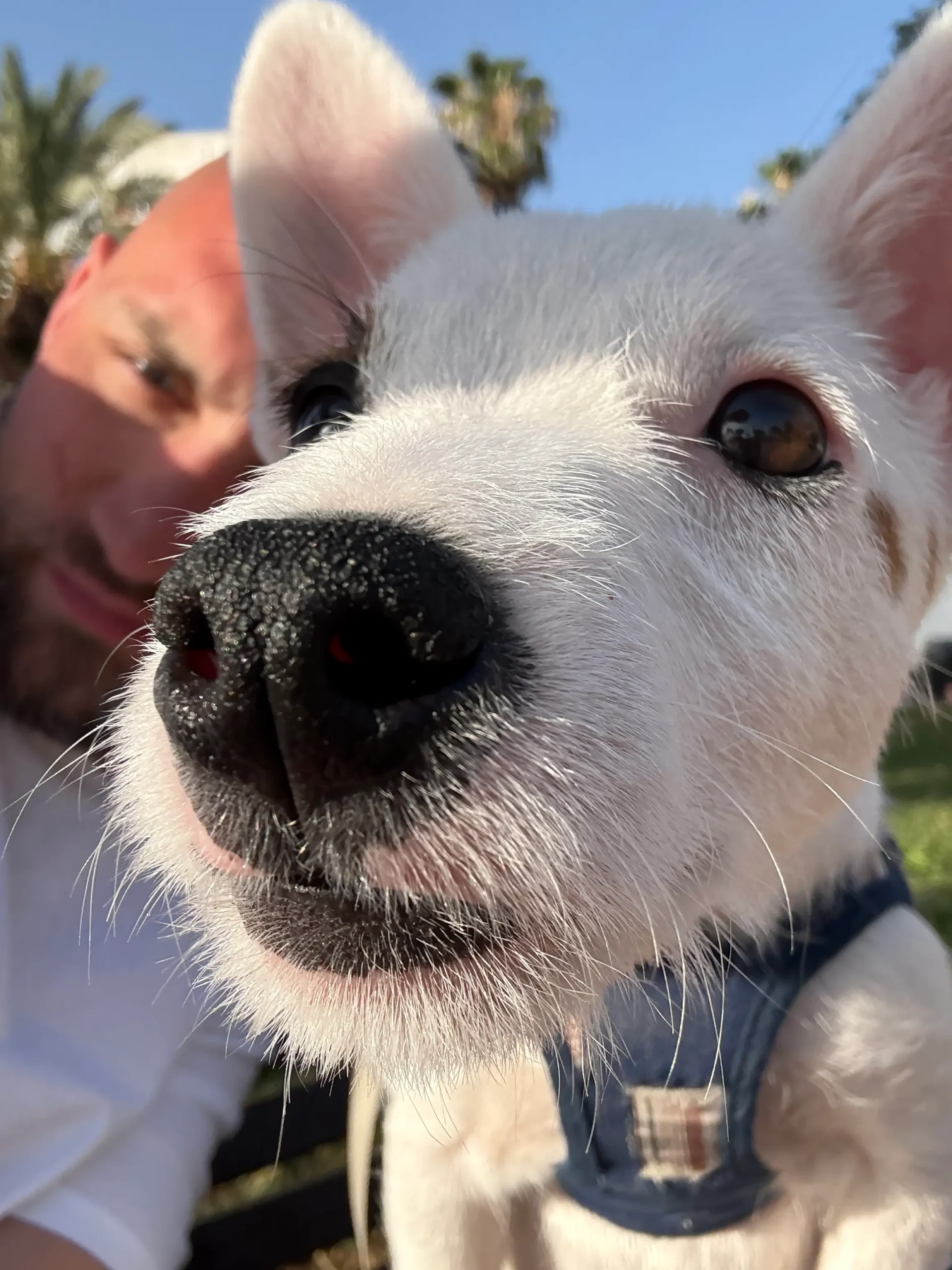 A picture of Christopher Cardoen sitting with his dog, Taco. His dog is in the front and Christopher is in the back.